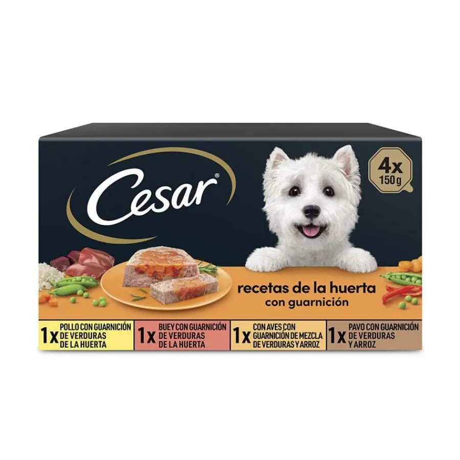 Cesar Recetas de la huerta Tarrina en Paté y Gelatina para Perros - Multipack Online