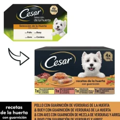 Cesar Recetas de la huerta Tarrina en Paté y Gelatina para Perros - Multipack Online