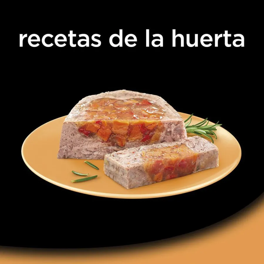 Cesar Recetas de la huerta Tarrina en Paté y Gelatina para Perros - Multipack Online