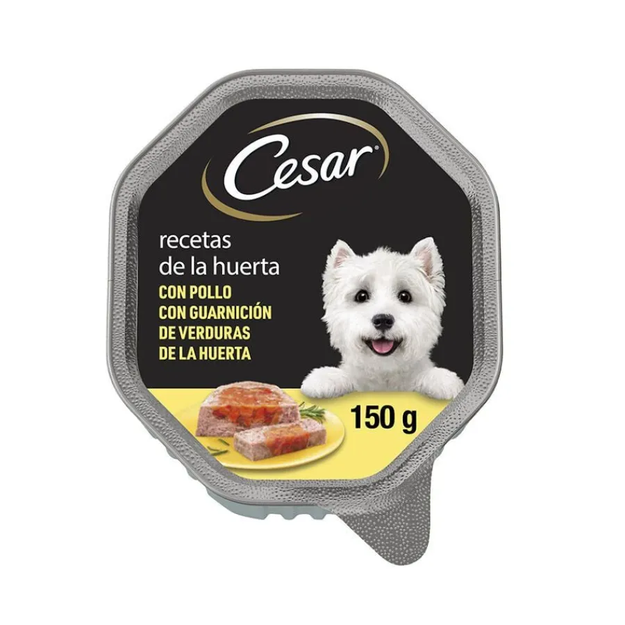 Cesar Recetas de la huerta Tarrina en Paté y Gelatina para Perros Hot