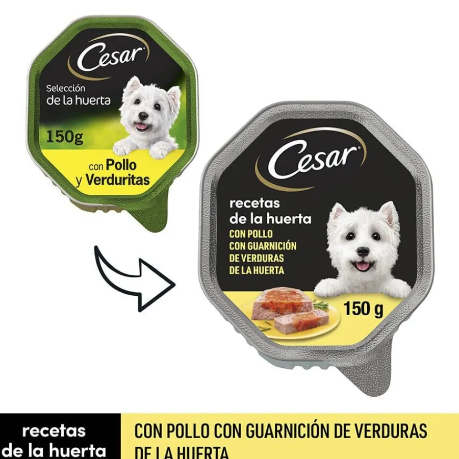 Cesar Recetas de la huerta Tarrina en Paté y Gelatina para Perros Hot