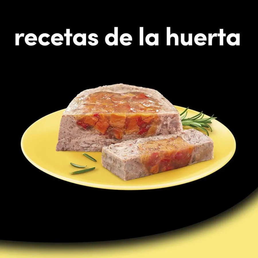 Cesar Recetas de la huerta Tarrina en Paté y Gelatina para Perros Hot