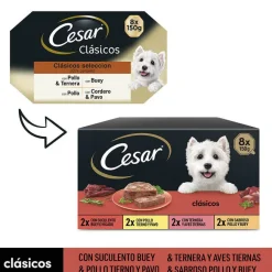 Cesar Selección Clasicos Tarrina en Paté para Perros - Multipack New