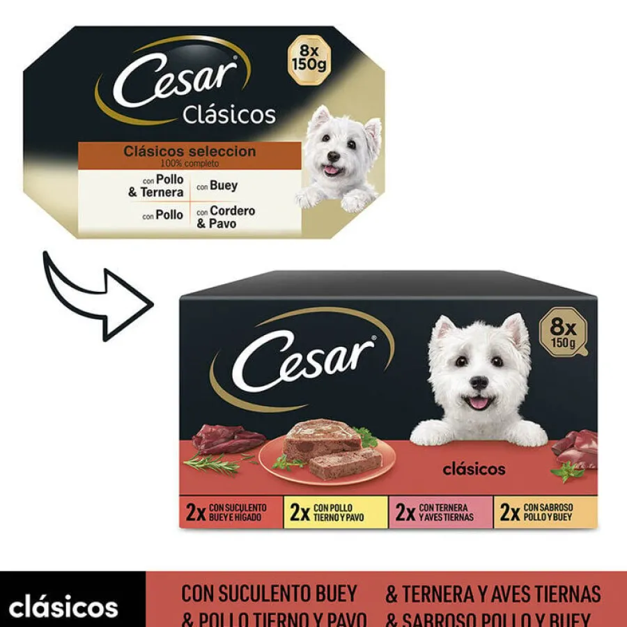 Cesar Selección Clasicos Tarrina en Paté para Perros - Multipack New