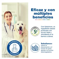 Douxo Ceva S3 Seb Champú en Mousse para mascotas Clearance