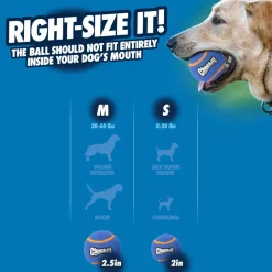 Chuckit! Squeaker Pelota de Tenis con Sonido y Rebote para perros New