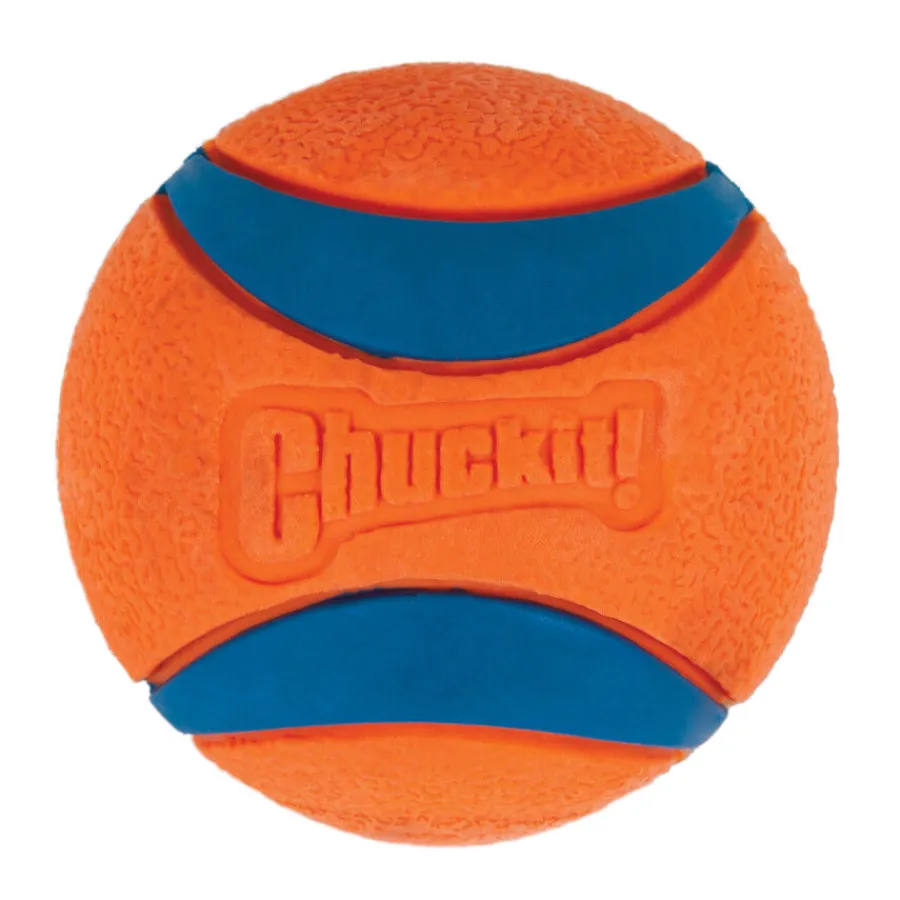 Chuckit! Ultra Pelota Grande con Brillo para perros Sale