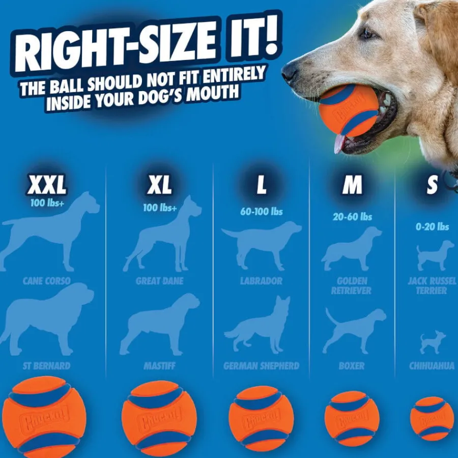 Chuckit! Ultra Pelota Grande con Brillo para perros Sale