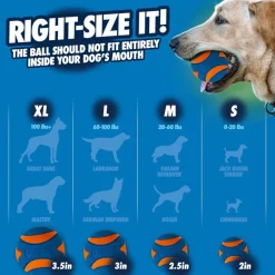 Chuckit! Ultra Squeaker Pelota con Sonido y Rebote para perros – Pack 2 New