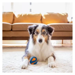 Chuckit! Ultra Squeaker Pelota con Sonido y Rebote para perros Clearance