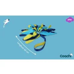 Company Of Animals Coachi Tuggi Spider juguete con flecos para perros Outlet