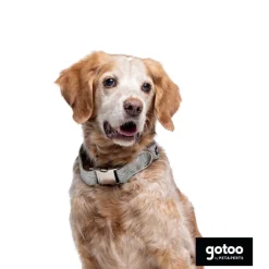 Gotoo Collar estampado de hojas para perros Sale