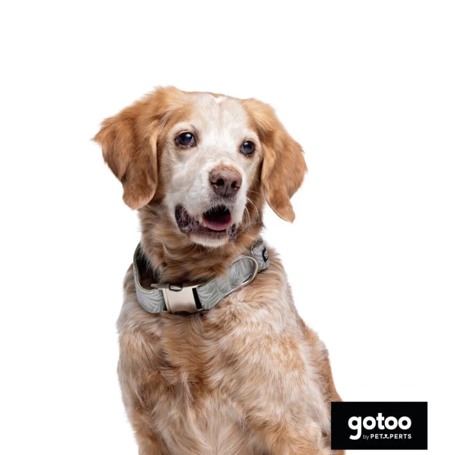 Gotoo Collar estampado de hojas para perros Sale