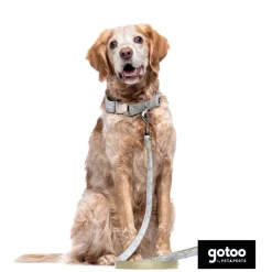 Gotoo Collar estampado de hojas para perros Sale