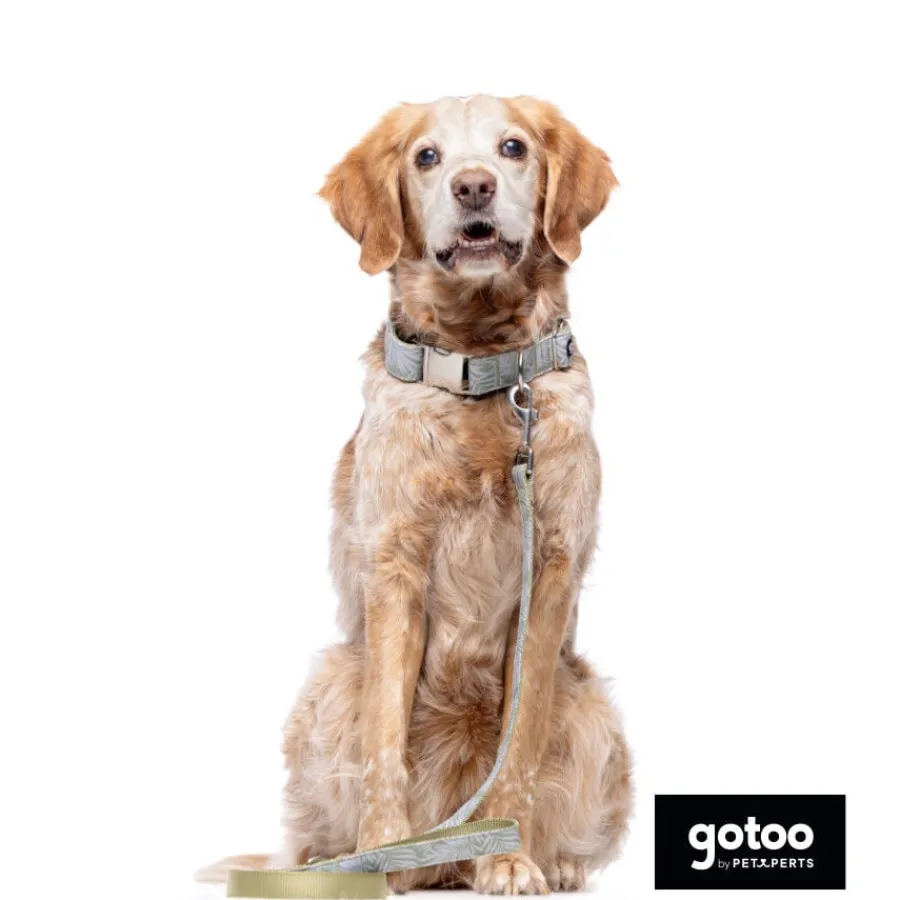 Gotoo Collar estampado de hojas para perros Sale