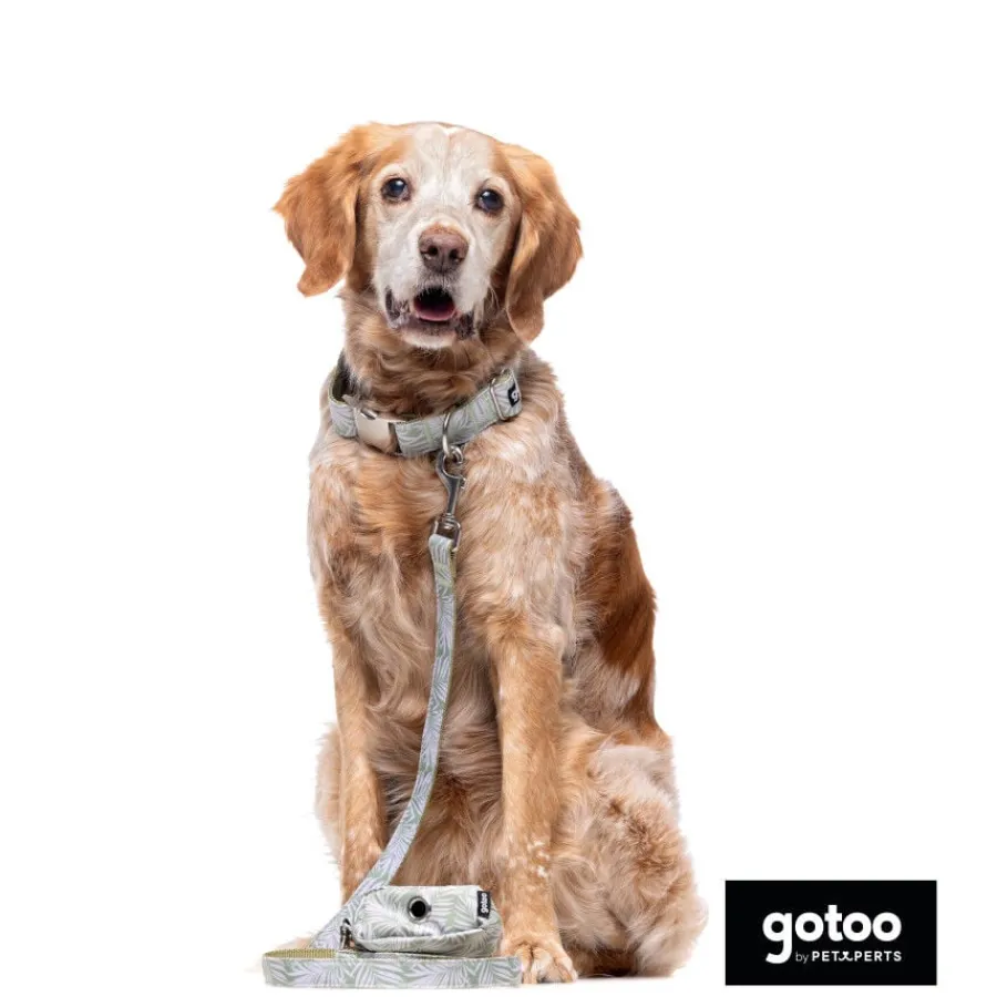 Gotoo Collar estampado de hojas para perros Sale