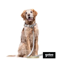 Gotoo Correa estampada hojas para perros New