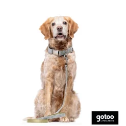 Gotoo Correa estampada hojas para perros New