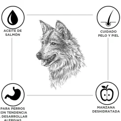 Criadores Adulto Cordero y Arroz pienso para perros de razas mediana y grande Best