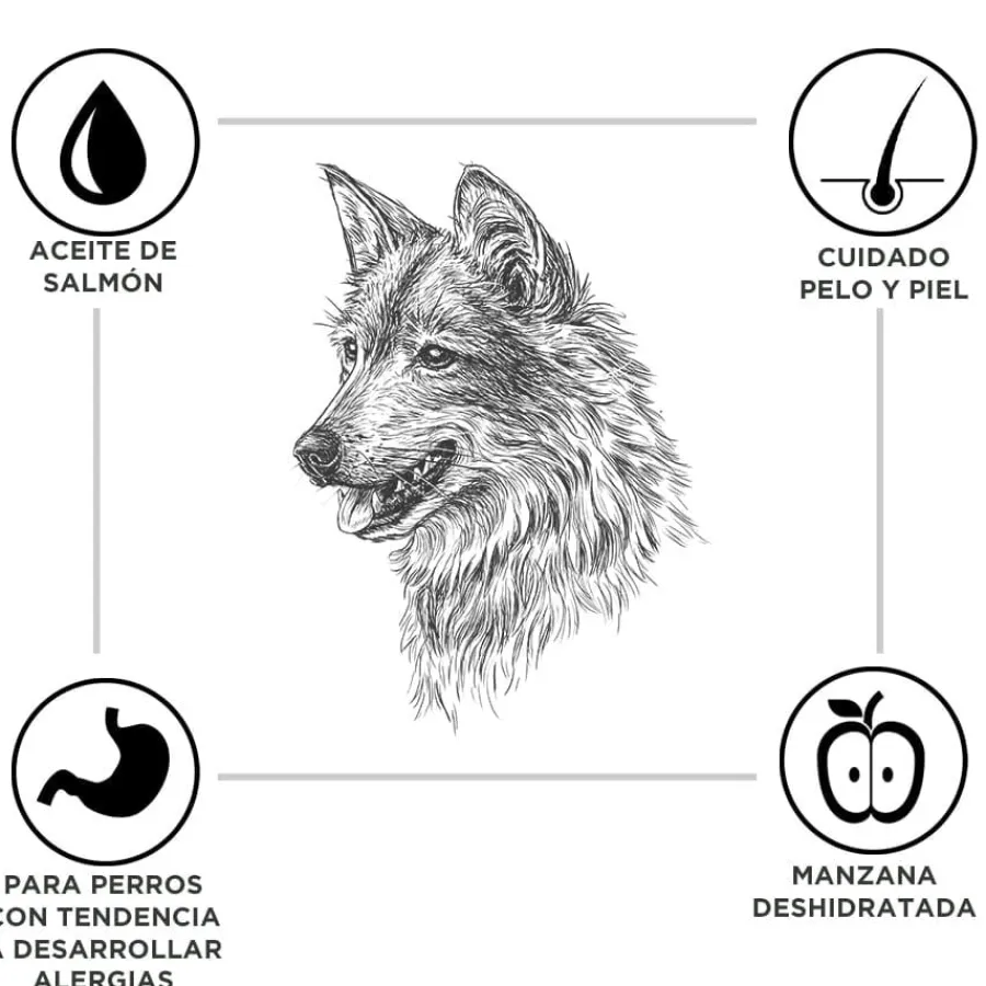 Criadores Adulto Cordero y Arroz pienso para perros de razas mediana y grande Best