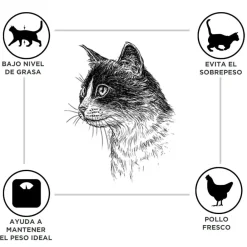 Criadores Adulto Esterilizado Pollo pienso para gatos Online