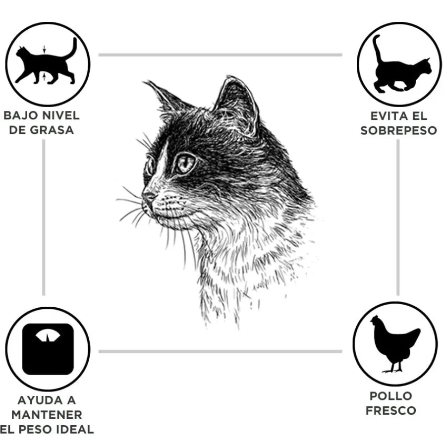 Criadores Adulto Esterilizado Pollo pienso para gatos Online