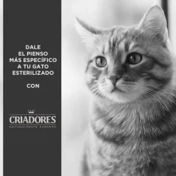 Criadores Adulto Esterilizado Pollo pienso para gatos Online