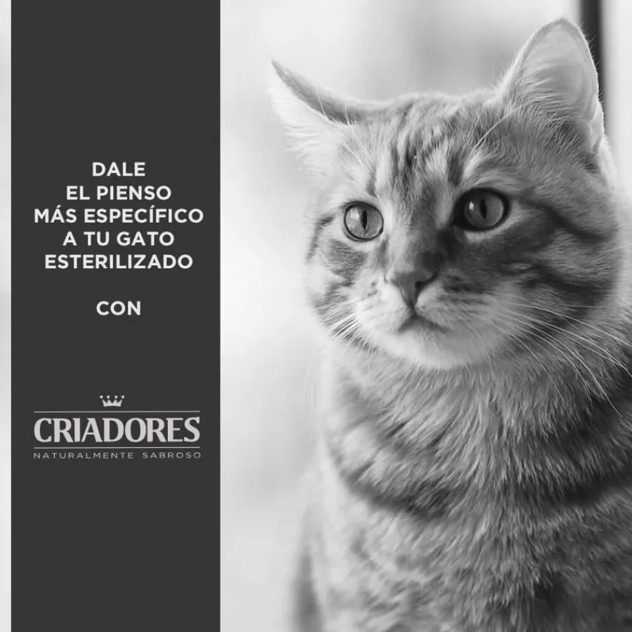 Criadores Adulto Esterilizado Pollo pienso para gatos Online