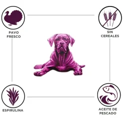 Criadores Adulto Grain Free Pavo pienso para perros de raza mediana y grande Outlet