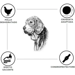Criadores Adulto Light pienso para perros de raza grande y mediana Outlet