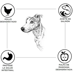Criadores Adulto Pollo y Arroz pienso para perros de raza mediana Best