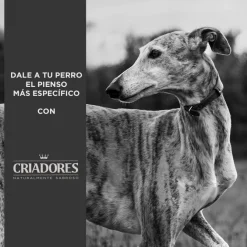 Criadores Adulto Pollo y Arroz pienso para perros de raza mediana Best