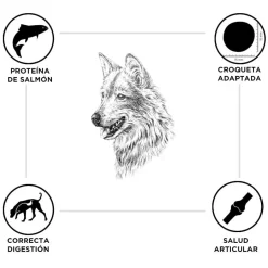 Criadores Adulto Salmón y Arroz pienso para perros de razas medianas y grandes Discount