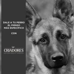 Criadores Adulto Salmón y Arroz pienso para perros de razas medianas y grandes Discount