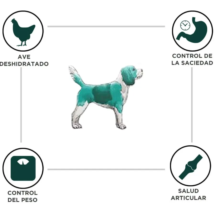 Criadores Dietetic Adulto Obesity pienso para perros Sale