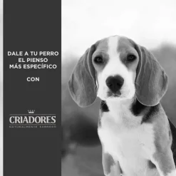Criadores Dietetic Hipoalergénico Adulto pienso para perros Clearance