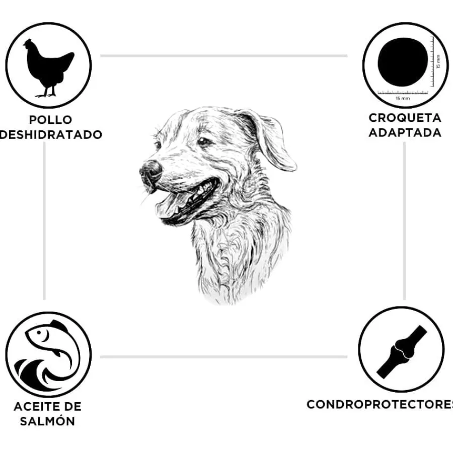 Criadores Pollo y Arroz pienso para cachorros de razas grandes Clearance