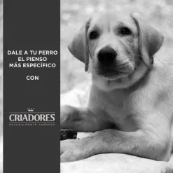 Criadores Pollo y Arroz pienso para cachorros de razas grandes Clearance