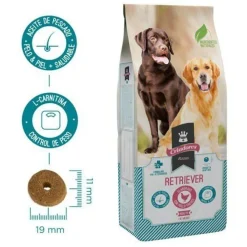 Criadores Retriever pienso para perros Best