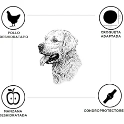 Criadores Senior Pollo y Arroz pienso para perros de razas medianas y grandes Best