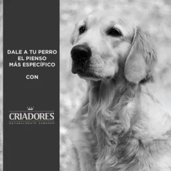 Criadores Senior Pollo y Arroz pienso para perros de razas medianas y grandes Best