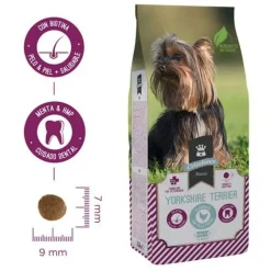 Criadores Yorkshire Terrier pienso para perros New