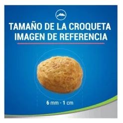 Dentalife Daily Oral Salmón Snacks Dentales para gatos Best