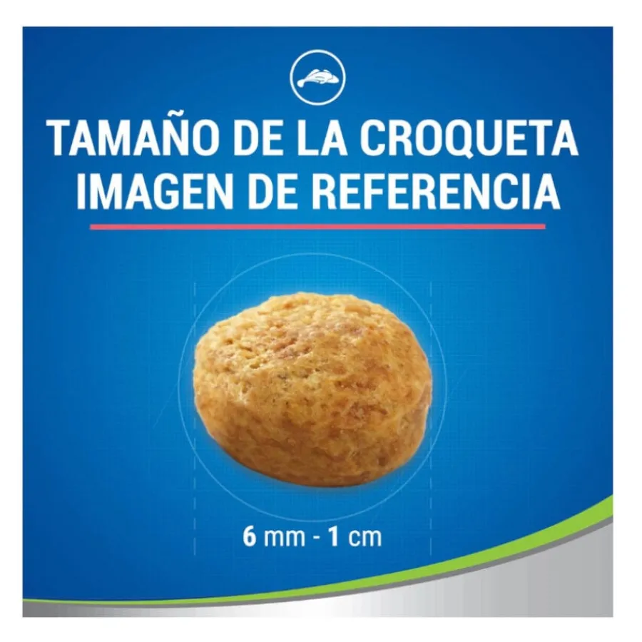Dentalife Daily Oral Salmón Snacks Dentales para gatos Best