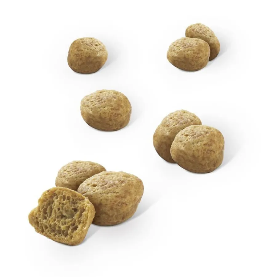 Dentalife Snack Dentales Pollo para gatos