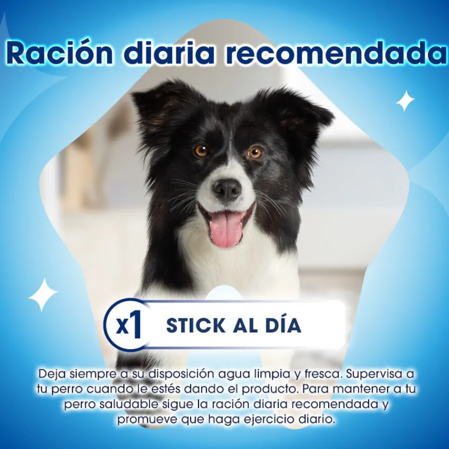 Dentalife Snacks Dentales para perros medianos Sale