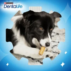 Dentalife Snacks Dentales para perros de raza pequeña Clearance