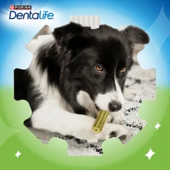 Dentalife Snacks Dentales Small ActivFresh para perros