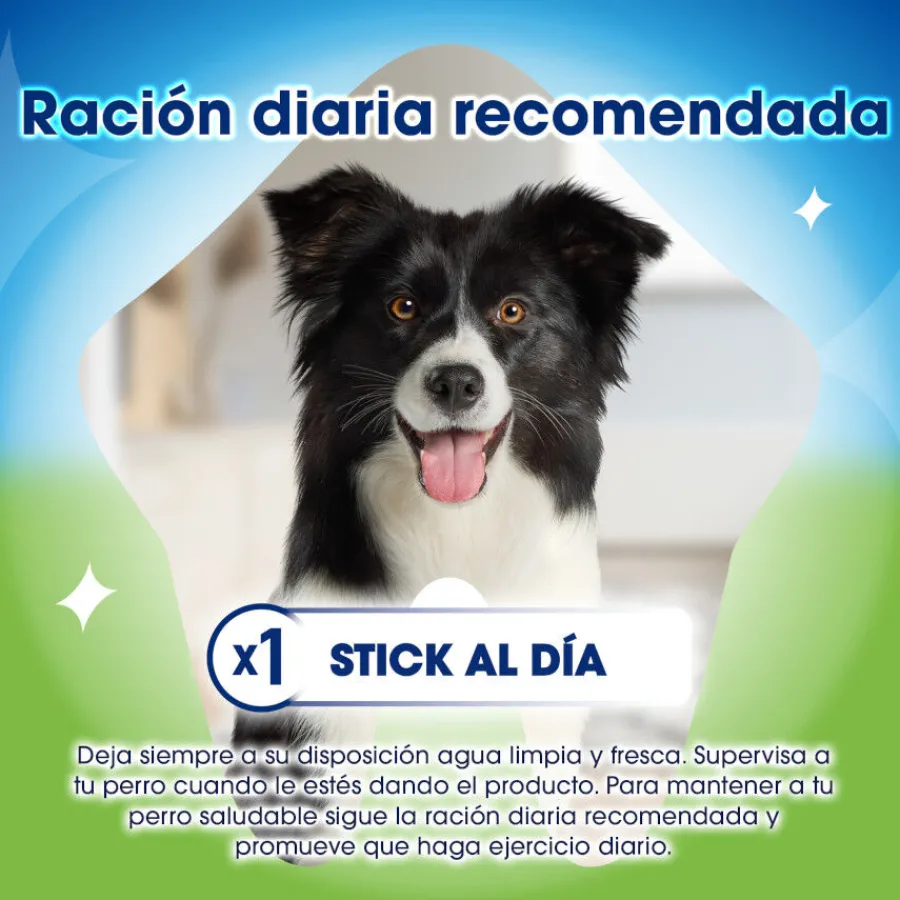 Dentalife Snacks Dentales Large ActivFresh para perros Online