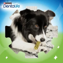 Dentalife Snacks Dentales Large ActivFresh para perros Online